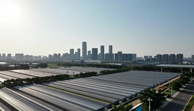 技术转让在业务流程中的应用与挑战